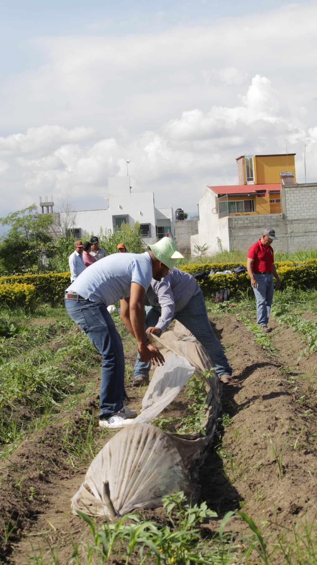 Grupo de agronomía en la parcela