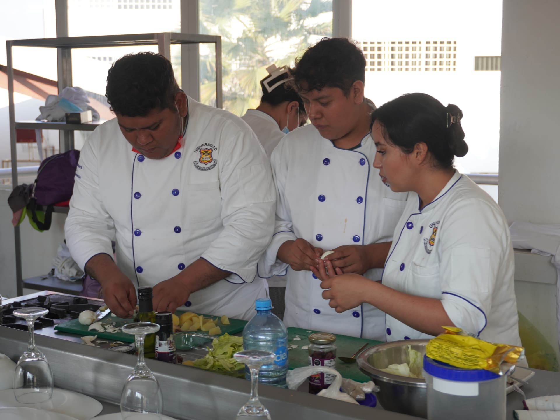 Cocina profesional de Universidad Alianza